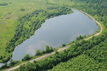 Property photo 14 - 1,025 Acres in 24 Tracts - Exellent Recreation Opportunity - Potential Building Sites - 11 Lakes & Ponds